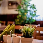 Cztery Strony świata Bed & Breakfast 3*