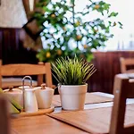 Cztery Strony świata Bed & Breakfast Zakopane