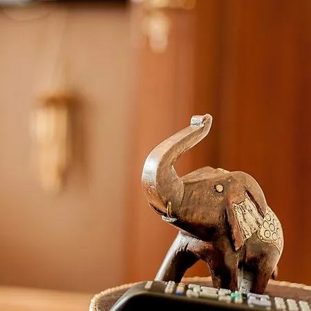 薇拉兹特斯特罗你施瓦塔旅馆 3* 扎科帕内