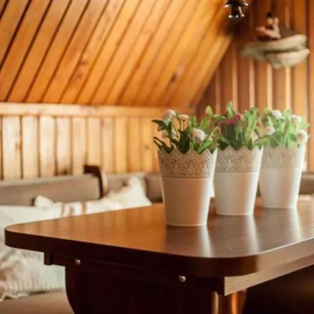 薇拉兹特斯特罗你施瓦塔旅馆 3*