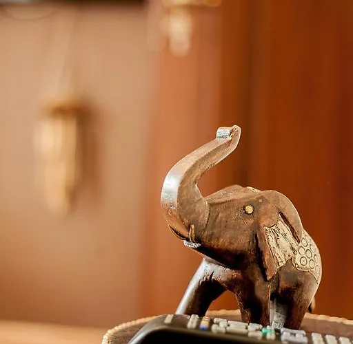 Cztery Strony Swiata 3* זקופאנה