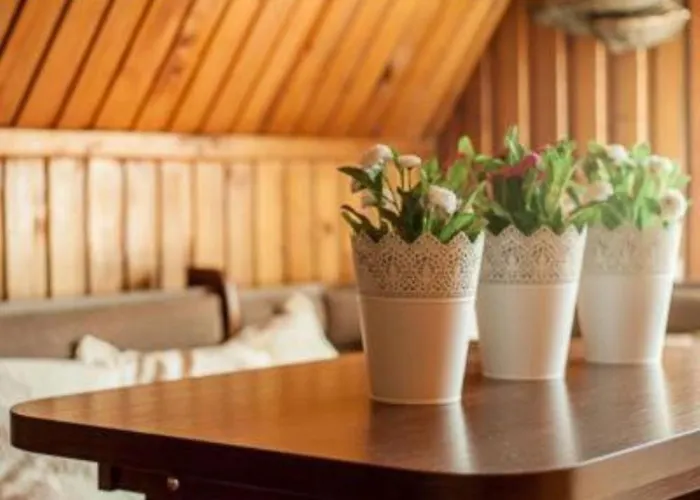 Cztery Strony Swiata 3*